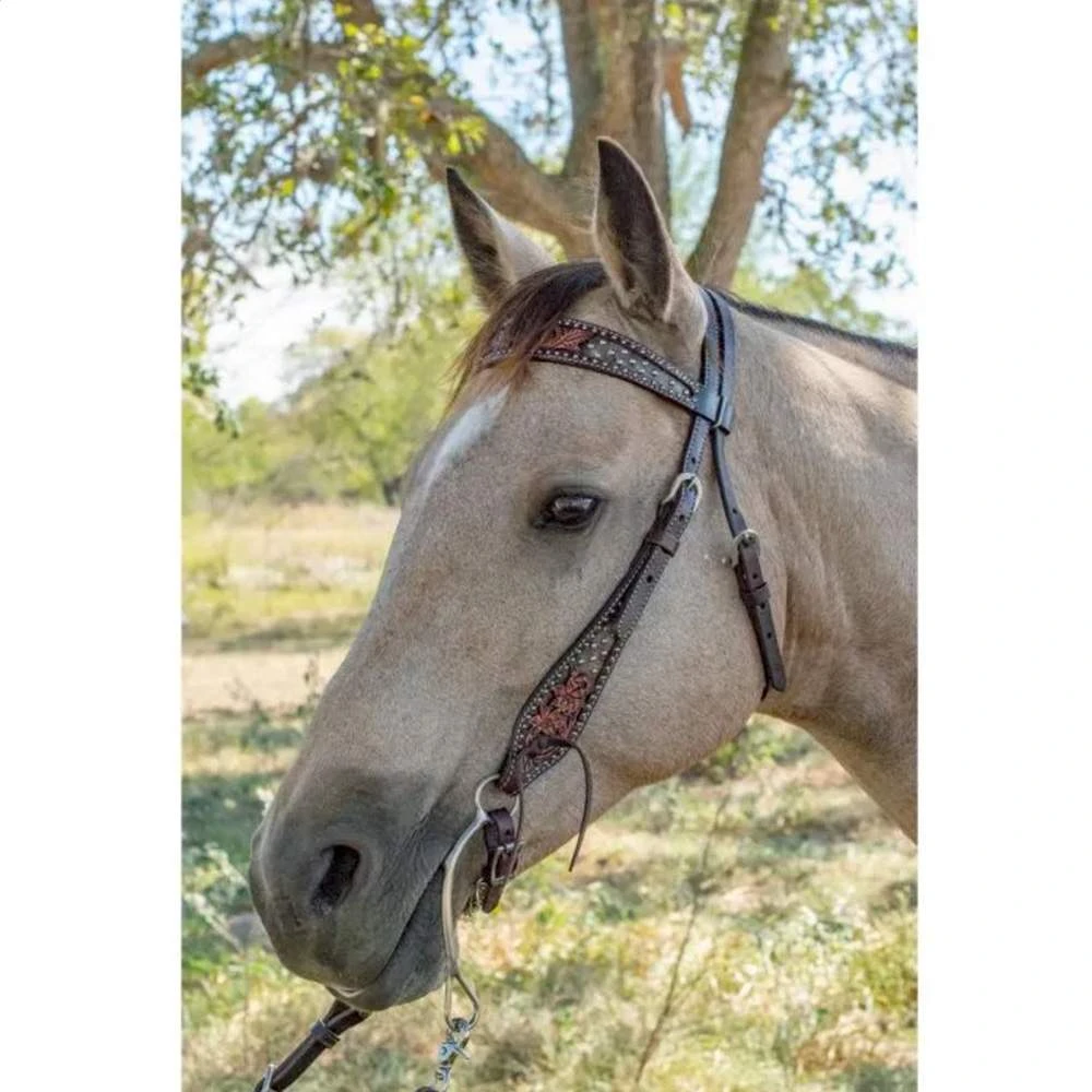 Circle Y Saddlery Dark Flash Arizona Flower Browband Headstall - Image 4